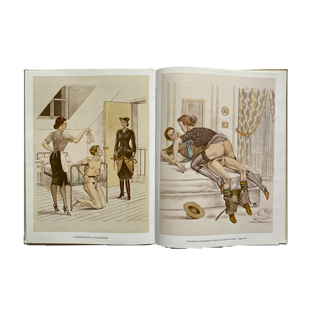 DRESSAGE suivi de UNE BRUNE PIQUANTE. Bernard Montorgueil, 1979