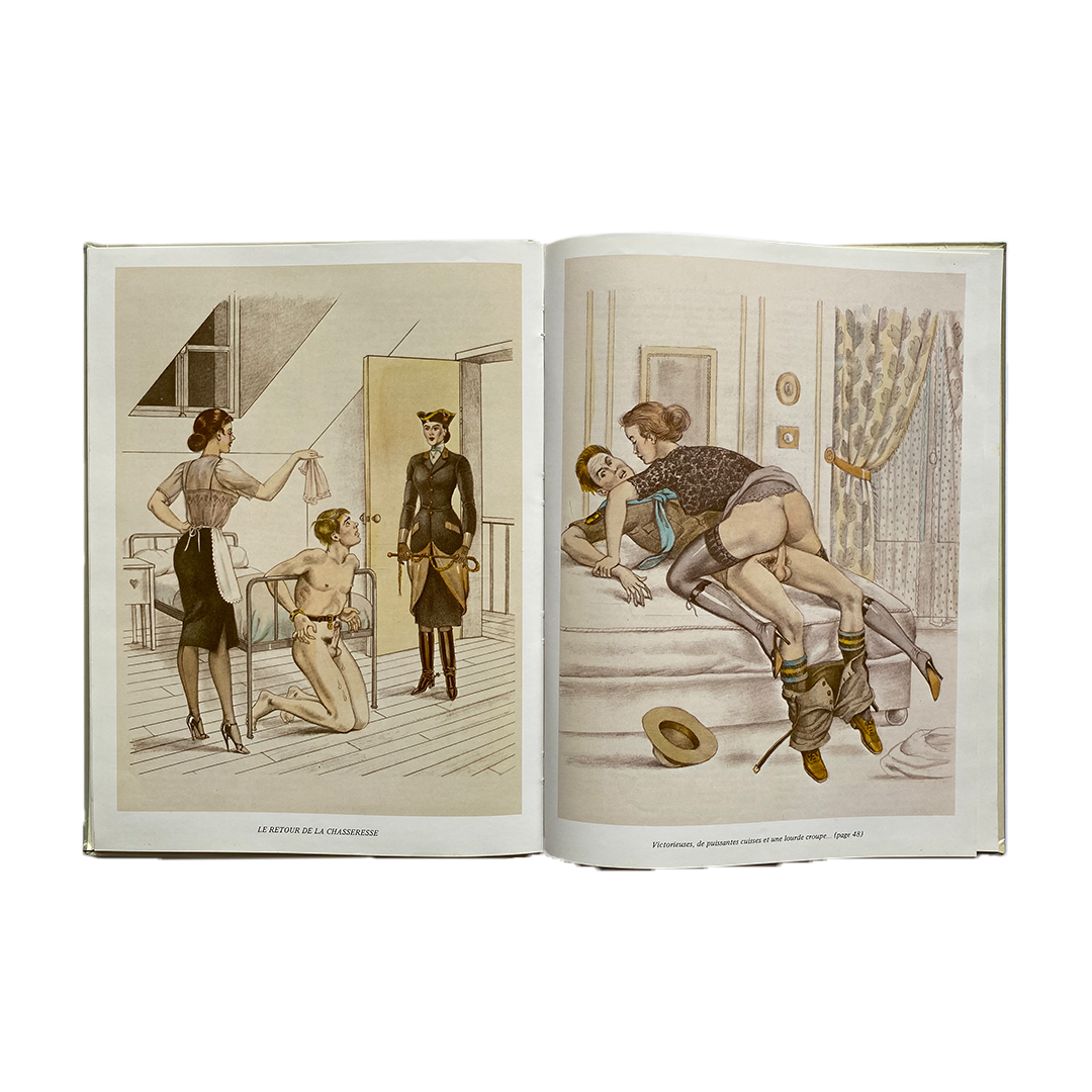 DRESSAGE suivi de UNE BRUNE PIQUANTE. Bernard Montorgueil, 1979