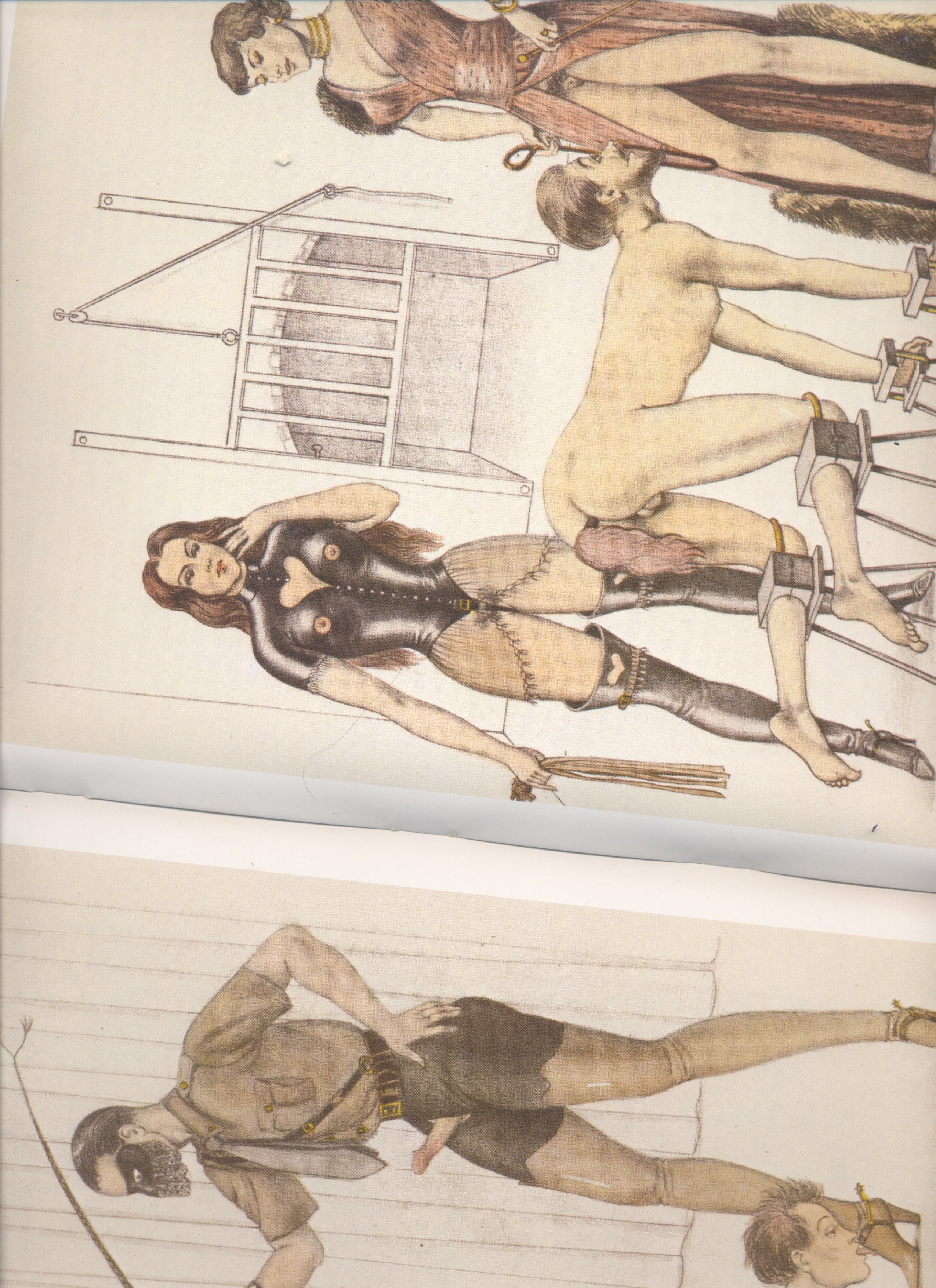 DRESSAGE suivi de UNE BRUNE PIQUANTE. Bernard Montorgueil, 1979