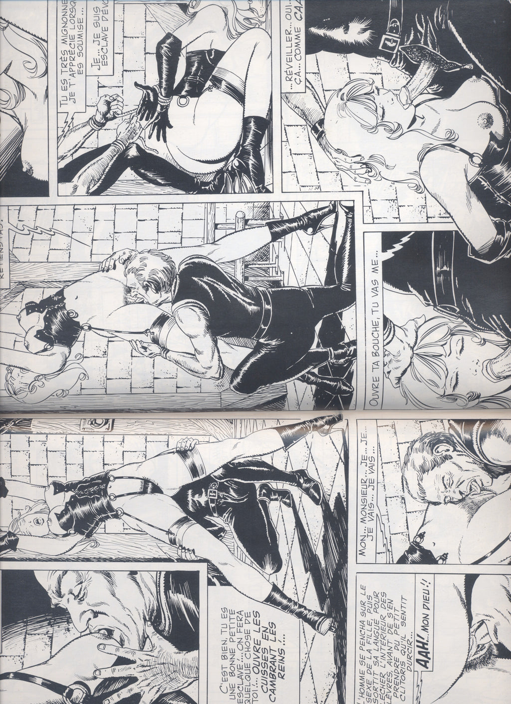 Le Dressage de Jeanne Intégrale. Chris, 2002