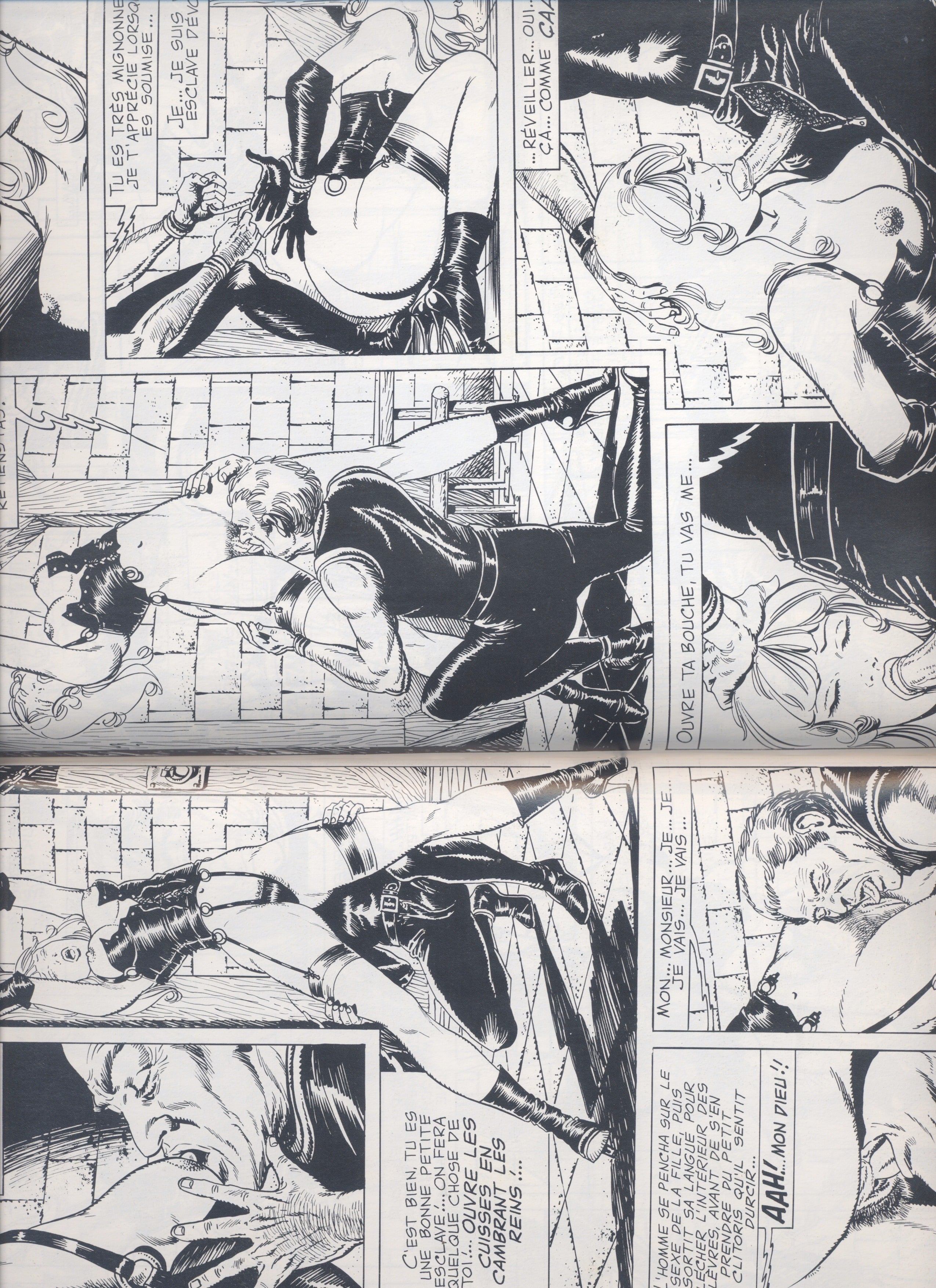 Le Dressage de Jeanne Intégrale. Chris, 2002