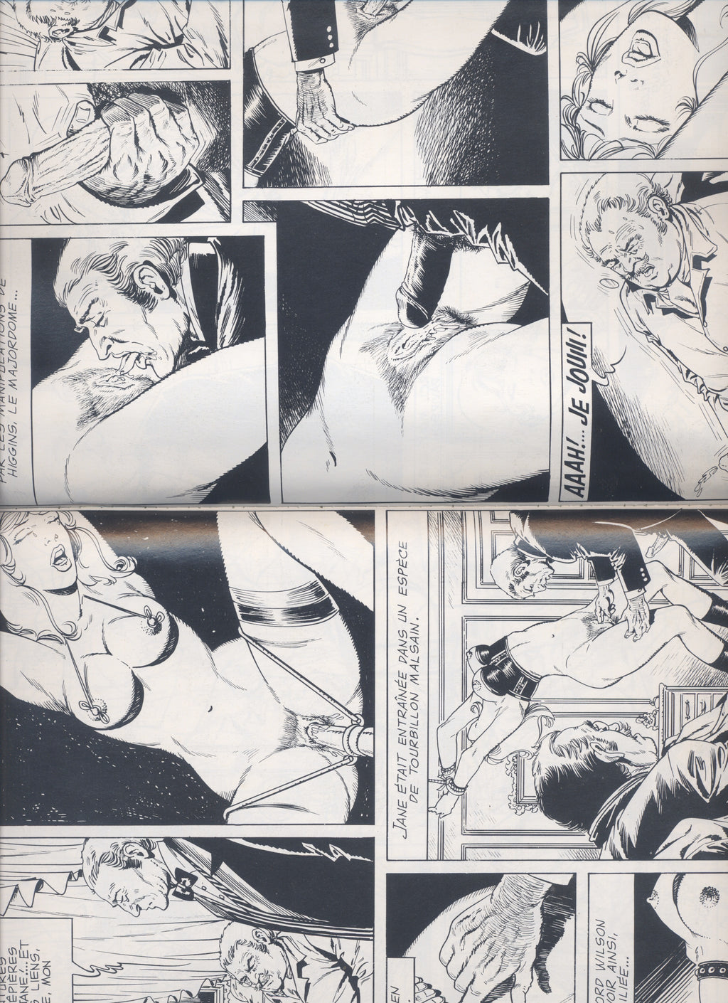 Le Dressage de Jeanne Intégrale. Chris, 2002