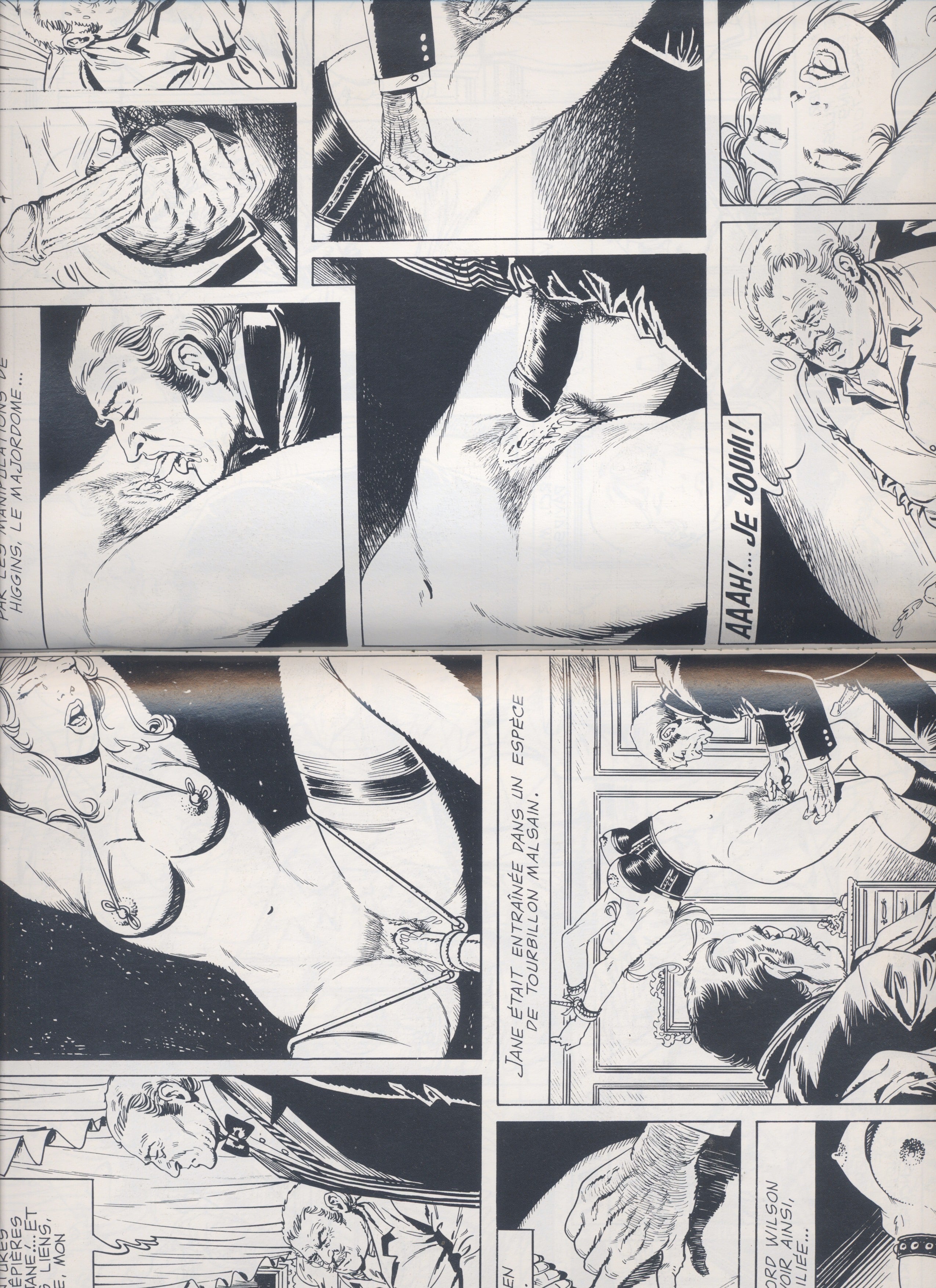 Le Dressage de Jeanne Intégrale. Chris, 2002